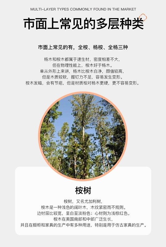 全桉板.jpg 全桉板.jpg