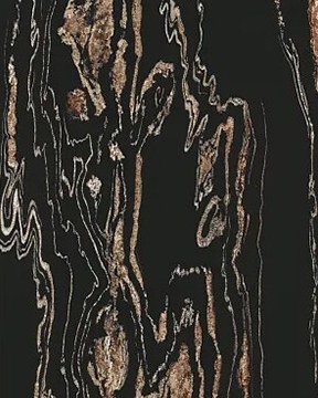 范思哲-黑金